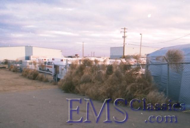198802RussianThistle.jpg