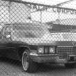 Previous