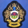 Previous
