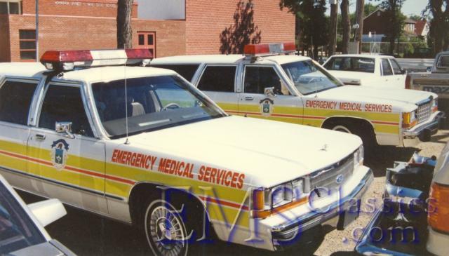 x1982Ford,phStanStone.jpg